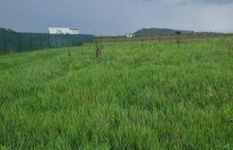 Teren pentru casa intravilan , 800 mp deschidere la drum Bod