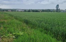 Teren pentru casa intravilan , 800 mp deschidere la drum Bod