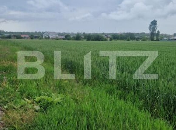 Teren de vânzare Bod - 171247TV | BLITZ Brașov | Poza4