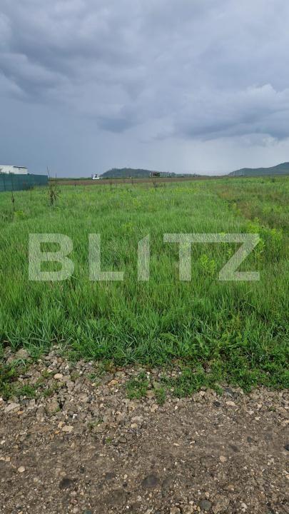 Teren de vânzare Bod - 171247TV | BLITZ Brașov | Poza5
