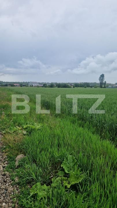 Teren de vânzare Bod - 171247TV | BLITZ Brașov | Poza4