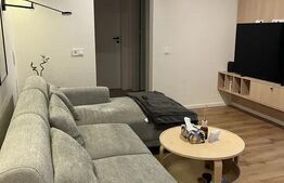 Apartament de inchiriat, cu 2 camere, 56 mp, modern, zona Albac