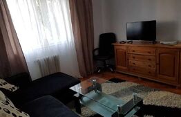 Apartamen 2 camere,40 mp , zona str. Brâncuși 