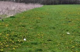 Teren intravilan 365mp,cu Puz aprobat prin HCL,in Borhanci