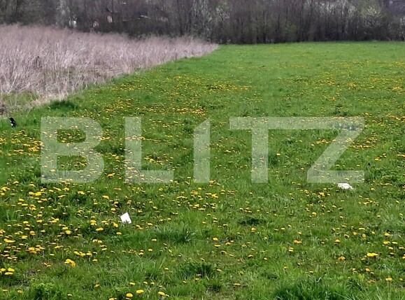 Teren de vânzare Borhanci - 171281TV | BLITZ Cluj-Napoca | Poza3