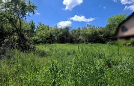 Teren intravilan, 500 mp,PUZ aprobat zona Buna Ziua