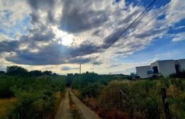 Teren intravilan, 500 mp,PUZ aprobat zona Buna Ziua