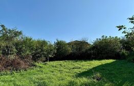 Teren intravilan, 500 mp,PUZ aprobat zona Buna Ziua