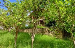 Casa 3 camere si teren 4873 mp  în Pietroasa, Moldoveneşti 