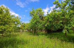 Casa 3 camere si teren 4873 mp  în Pietroasa, Moldoveneşti 