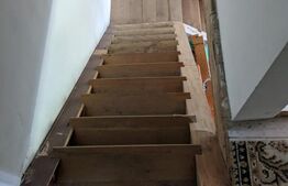 Casa 3 camere si teren 4873 mp  în Pietroasa, Moldoveneşti 