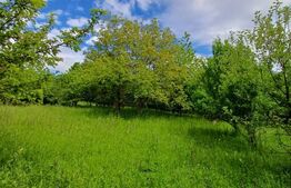 Casa 3 camere si teren 4873 mp  în Pietroasa, Moldoveneşti 