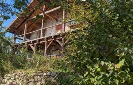 Casa 3 camere si teren 4873 mp  în Pietroasa, Moldoveneşti 