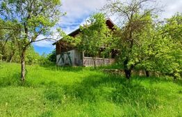 Casa 3 camere si teren 4873 mp  în Pietroasa, Moldoveneşti 