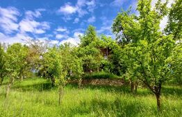 Casa 3 camere si teren 4873 mp  în Pietroasa, Moldoveneşti 