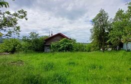 Casa 3 camere si teren 4873 mp  în Pietroasa, Moldoveneşti 