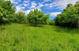 Casa 3 camere si teren 4873 mp  în Pietroasa, Moldoveneşti 