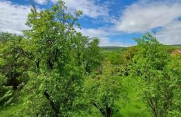 Casa 3 camere si teren 4873 mp  în Pietroasa, Moldoveneşti 