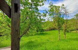 Casa 3 camere si teren 4873 mp  în Pietroasa, Moldoveneşti 