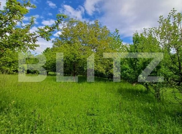 Casa de vânzare 4 camere Moldovenesti - 171324CV | BLITZ Cluj-Napoca | Poza13