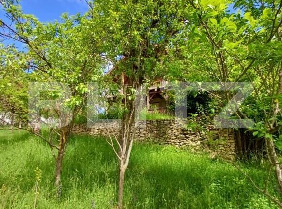 Casa de vânzare 4 camere Moldovenesti - 171324CV | BLITZ Cluj-Napoca | Poza2