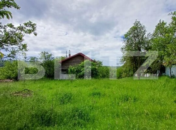 Casa de vânzare 4 camere Moldovenesti - 171324CV | BLITZ Cluj-Napoca | Poza12