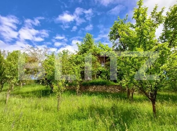 Casa de vânzare 4 camere Moldovenesti - 171324CV | BLITZ Cluj-Napoca | Poza17