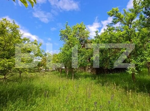 Casa de vânzare 4 camere Moldovenesti - 171324CV | BLITZ Cluj-Napoca | Poza14