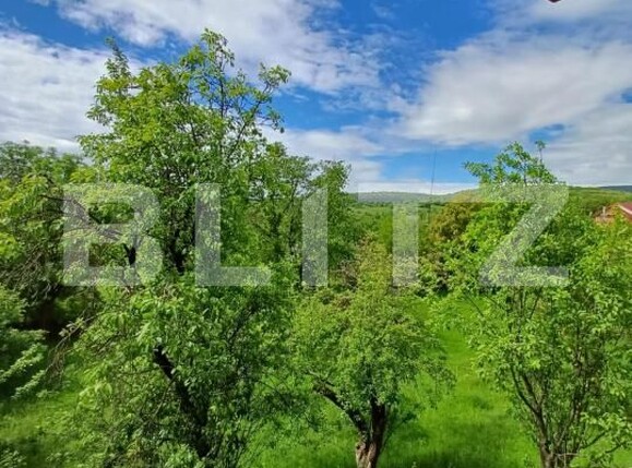 Casa de vânzare 4 camere Moldovenesti - 171324CV | BLITZ Cluj-Napoca | Poza21