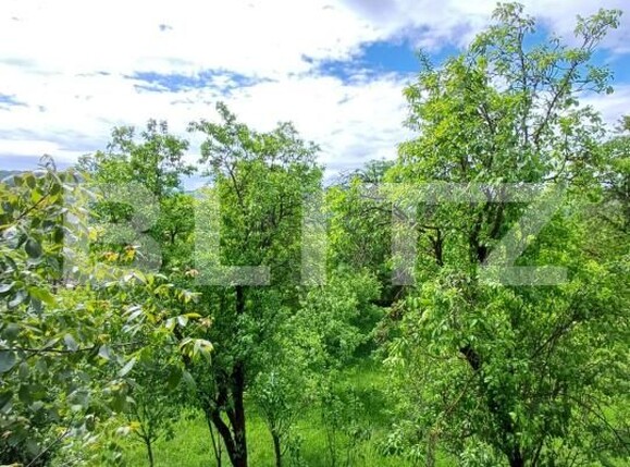 Casa de vânzare 4 camere Moldovenesti - 171324CV | BLITZ Cluj-Napoca | Poza16