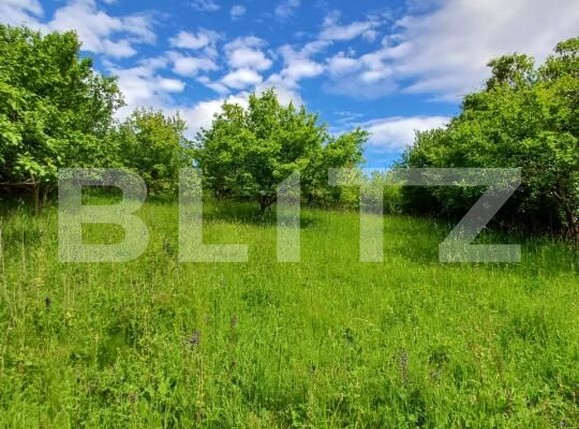 Casa de vânzare 4 camere Moldovenesti - 171324CV | BLITZ Cluj-Napoca | Poza15