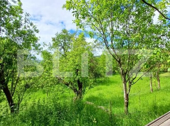 Casa de vânzare 4 camere Moldovenesti - 171324CV | BLITZ Cluj-Napoca | Poza19