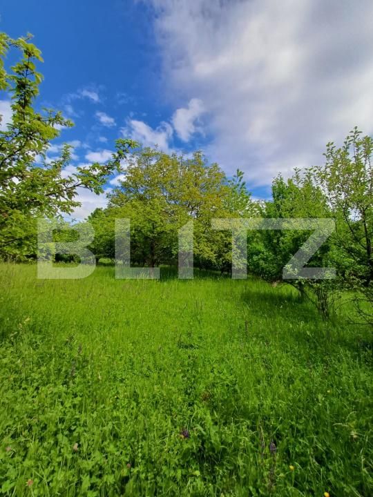 Casa de vânzare 4 camere Moldovenesti - 171324CV | BLITZ Cluj-Napoca | Poza13