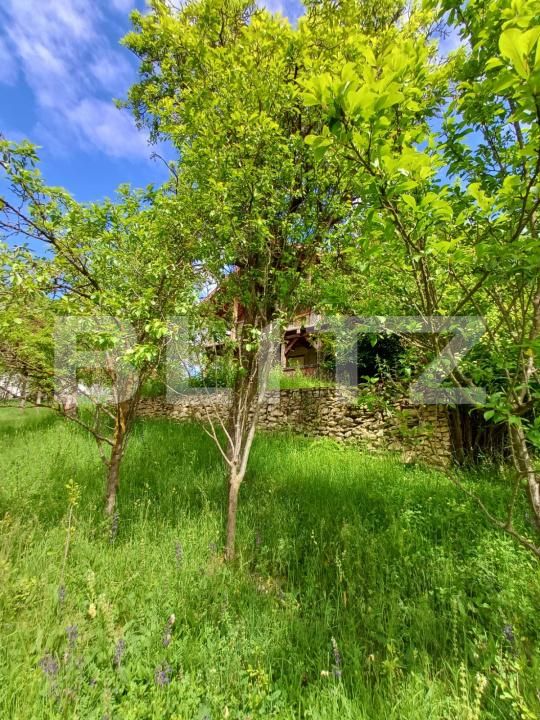 Casa de vânzare 4 camere Moldovenesti - 171324CV | BLITZ Cluj-Napoca | Poza2