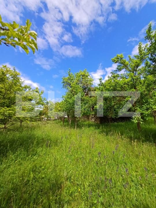 Casa de vânzare 4 camere Moldovenesti - 171324CV | BLITZ Cluj-Napoca | Poza14