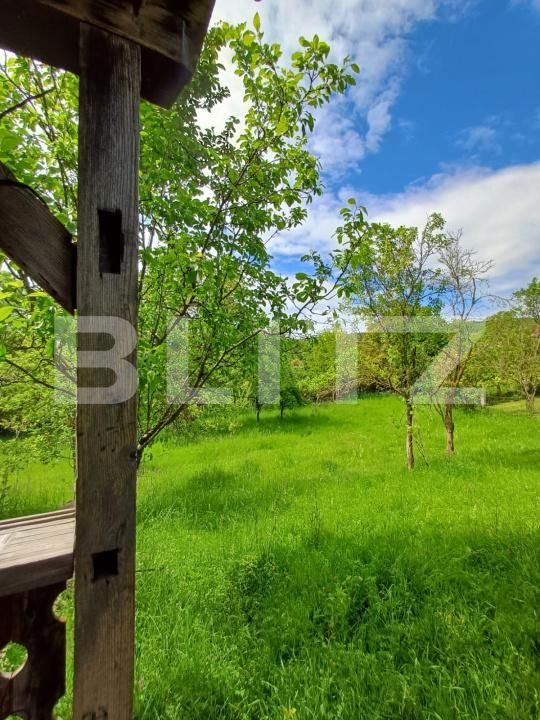 Casa de vânzare 4 camere Moldovenesti - 171324CV | BLITZ Cluj-Napoca | Poza20