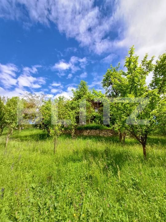 Casa de vânzare 4 camere Moldovenesti - 171324CV | BLITZ Cluj-Napoca | Poza17