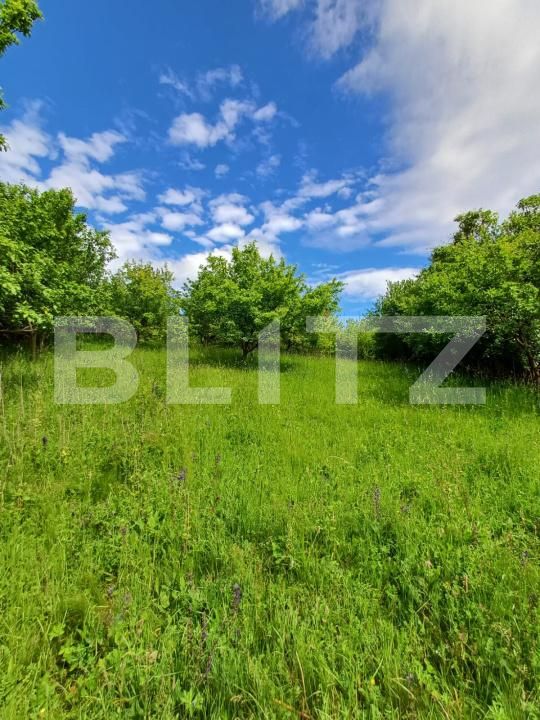 Casa de vânzare 4 camere Moldovenesti - 171324CV | BLITZ Cluj-Napoca | Poza15