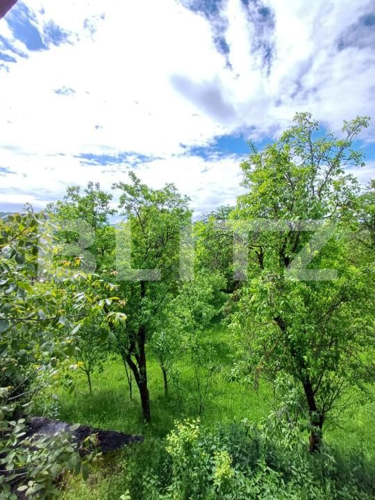 Casa de vânzare 4 camere Moldovenesti - 171324CV | BLITZ Cluj-Napoca | Poza16