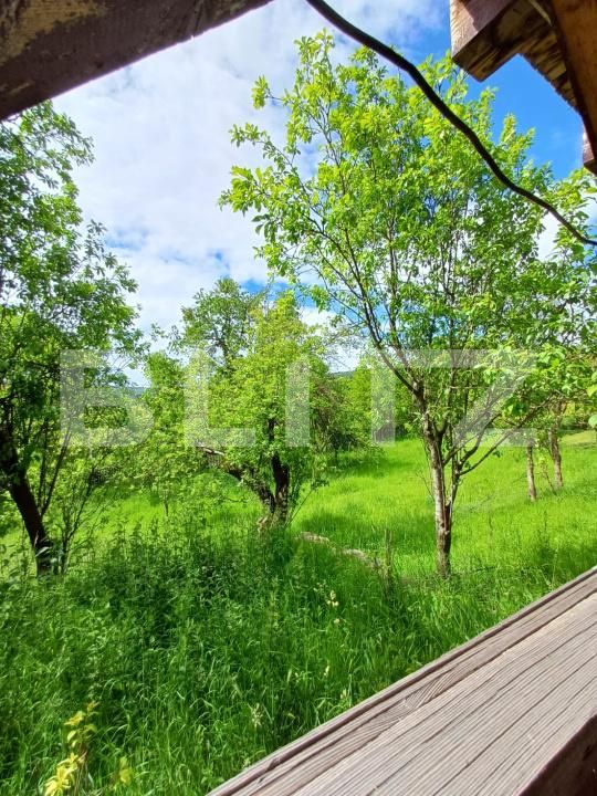 Casa de vânzare 4 camere Moldovenesti - 171324CV | BLITZ Cluj-Napoca | Poza19