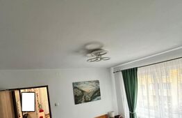 Apartament de vanzare, cu 3 camere, 47 mp, zona Manastur