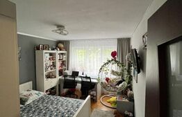 Apartament de vanzare, cu 3 camere, 47 mp, zona Manastur