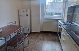 Apartament modern, de vanzare, cu 2 camere, 58 mp, zona Triaj