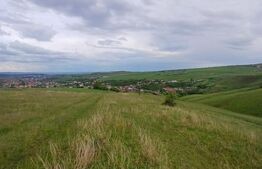 Teren extravilan 1248 mp in Copaceni! Oportunitate investitie!