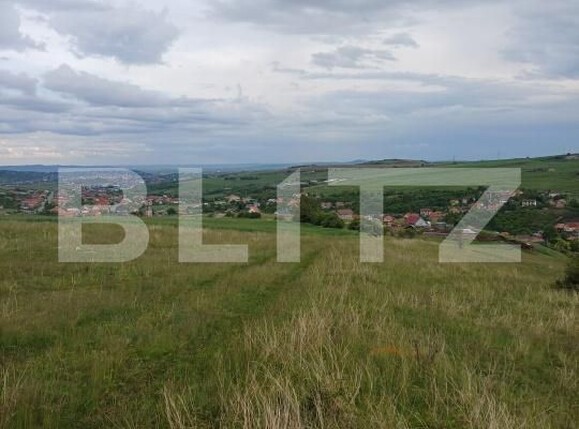 Teren de vânzare Copaceni - 171370TV | BLITZ Cluj-Napoca | Poza1