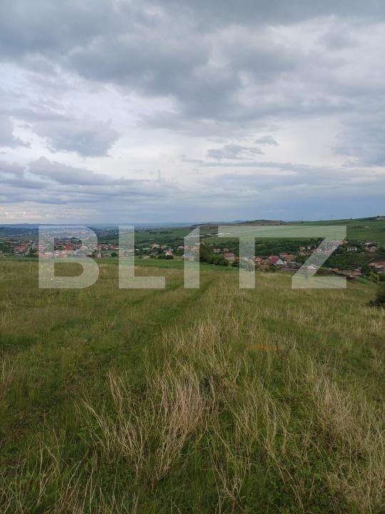 Teren de vânzare Copaceni - 171370TV | BLITZ Cluj-Napoca | Poza1