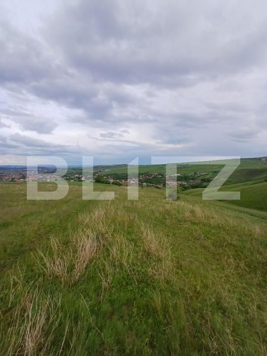 Teren de vânzare Copaceni - 171370TV | BLITZ Cluj-Napoca | Poza2