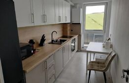 Apartament 1 camera, moderm, parare, zona Someseni
