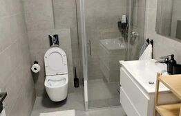 Apartament 1 camera, moderm, parare, zona Someseni