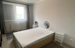 Apartament 2 camere, 47mp, parcare, petfriendly, zona Lidl!